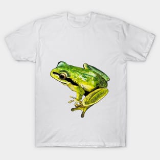 green frog T-Shirt